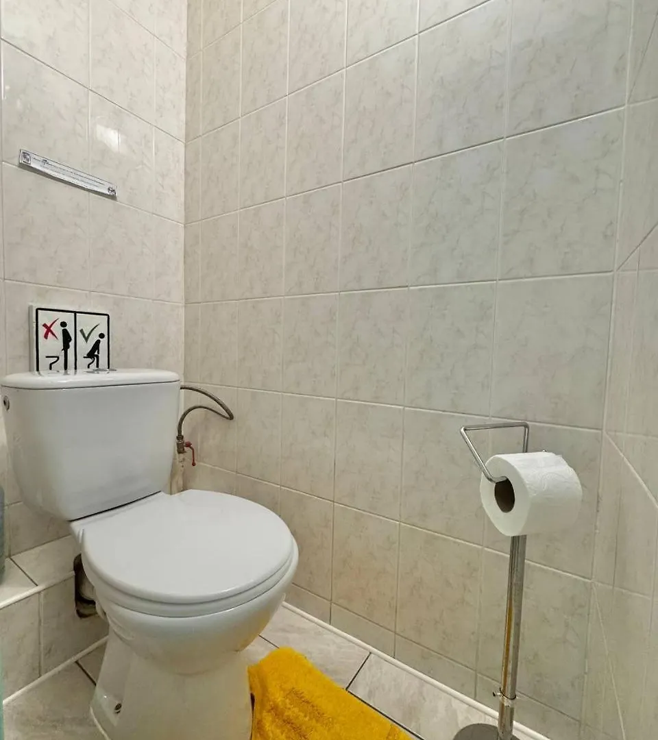 Apartment Апартаменти З 2-Ма Кімнатами В 5 Хвилинах Від М. Печерська Kiew